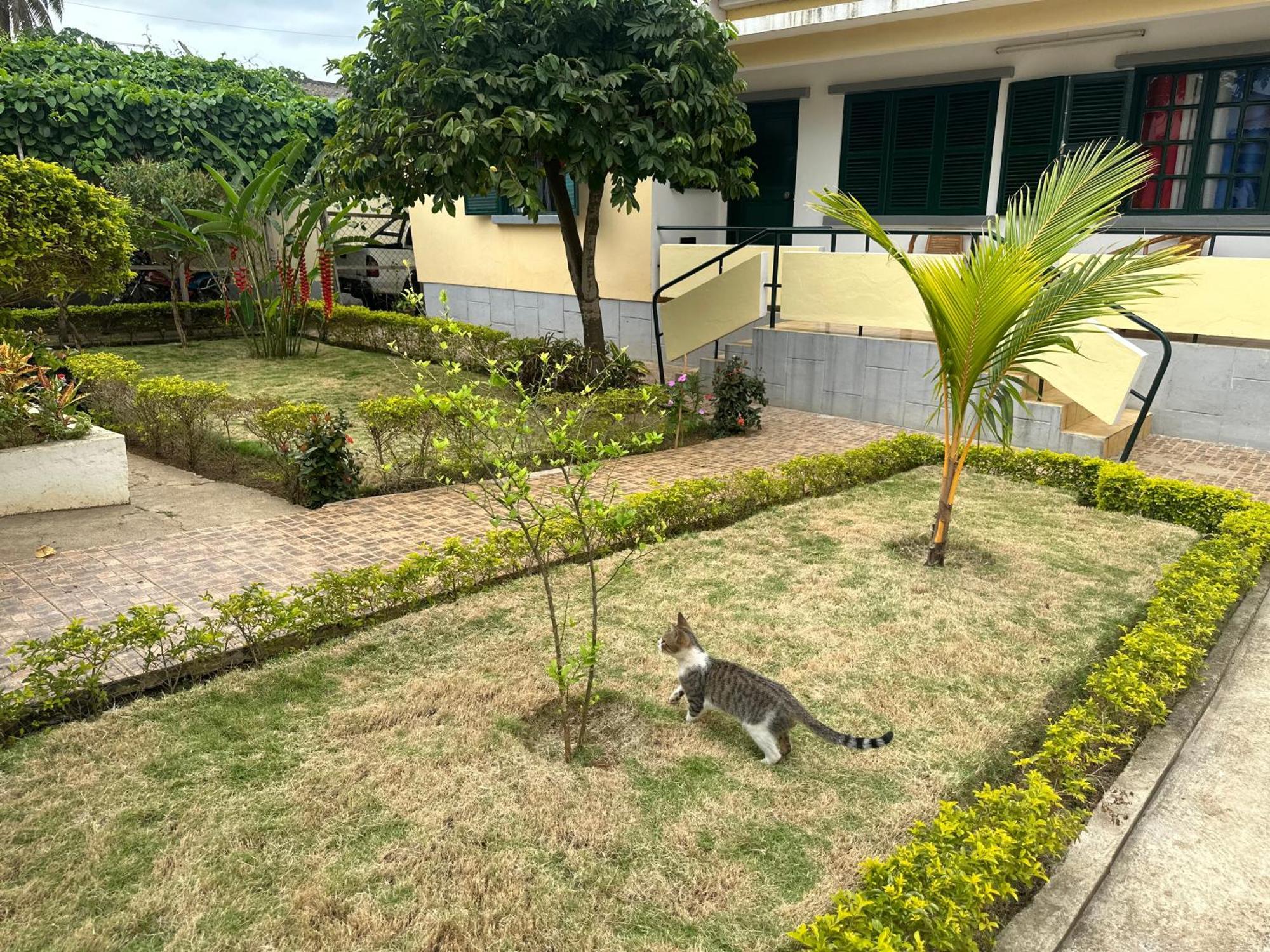 J Nova Lda Apartman Sao Tomé Kültér fotó